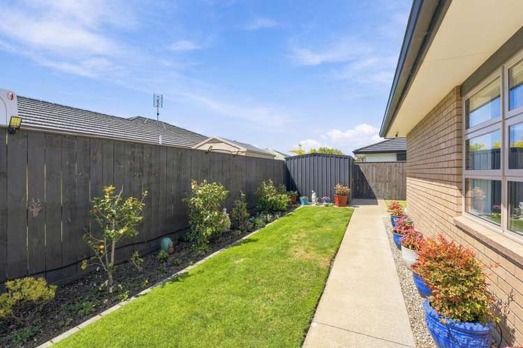 25 Morrell Street Tawhero_20