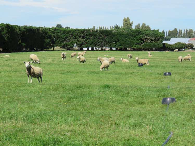 552 Methven Highway Winchmore_21