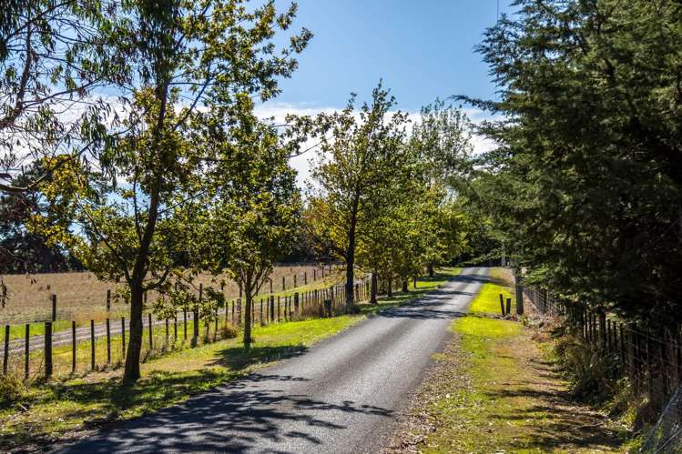 144 Dublin Street Martinborough_18