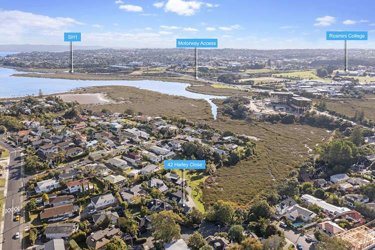 42 Harley Close Hauraki_24