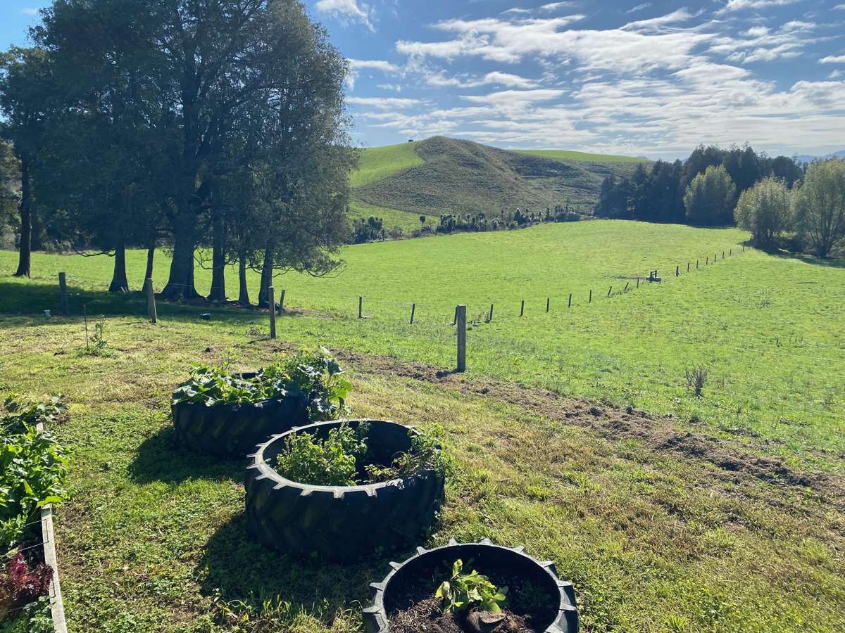 305 Waitetuna Valley Road_2