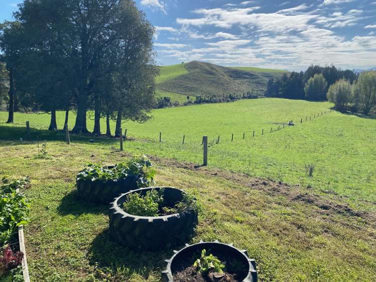 305 Waitetuna Valley Road Raglan_6