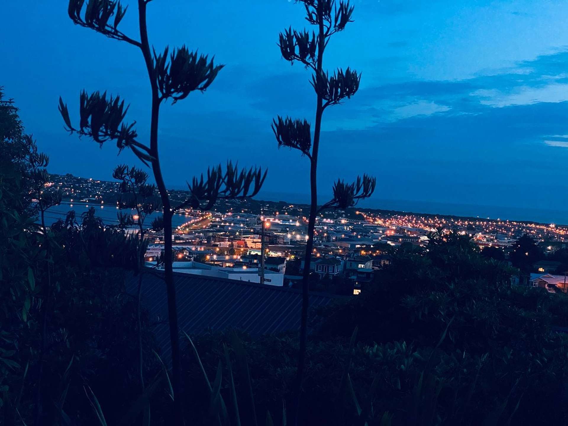 47 Russell Street Dunedin Central_0