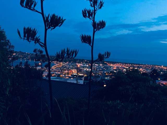 City Cottage Fully Renovated & Furnished