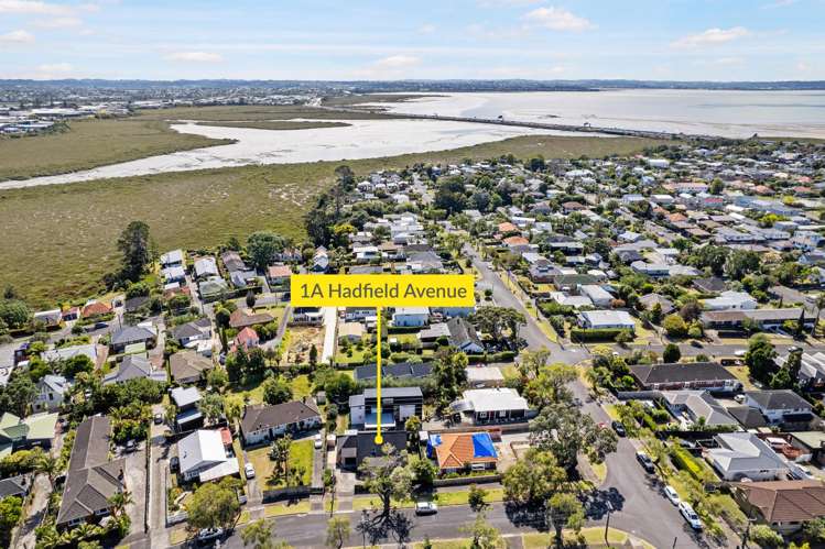 1a Hadfield Avenue Waterview_25