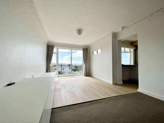 9/10 Brighton Road Parnell_4