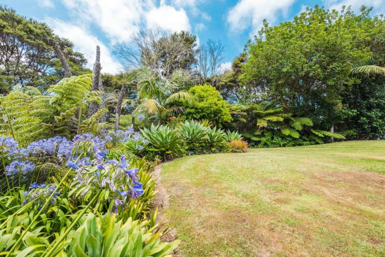 132 Foley Quarry Road Dairy Flat_17