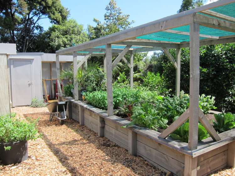 29 Grove Road Mangawhai Heads_18