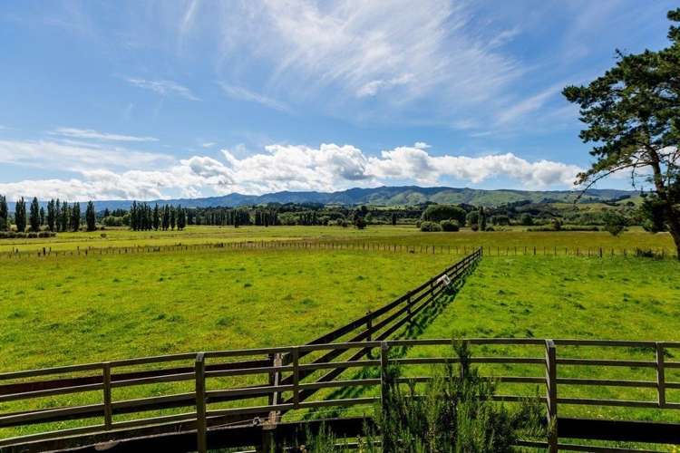 1188 Pohangina Road Pohangina_9