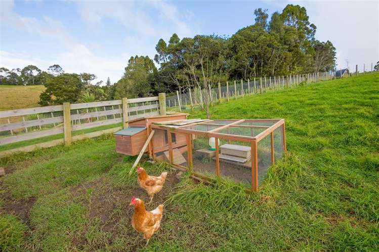 57 Moses Road Kaukapakapa_17