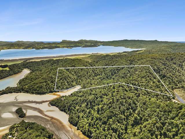 857 Dry Road Tasman_1