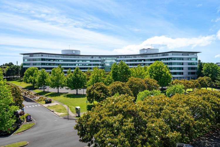 74 Taharoto Road Takapuna_9