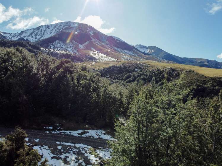 50 Terako Terrace Lyford_6