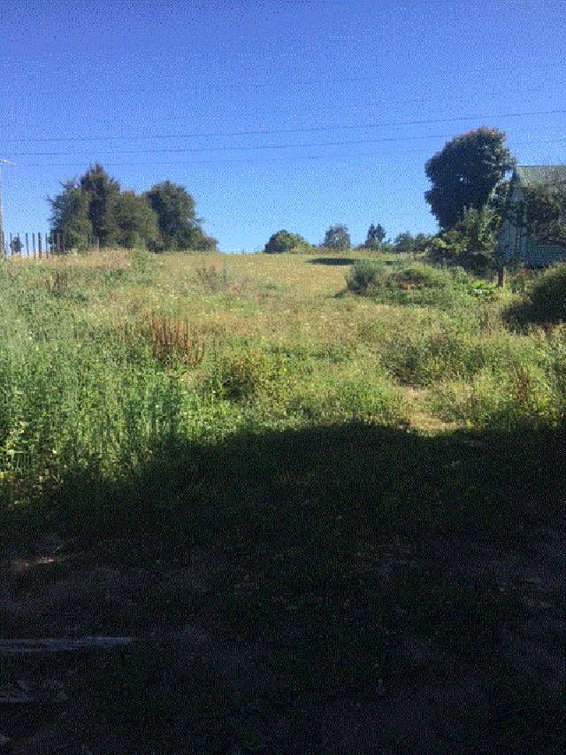 Arapuni Road Arapuni_3