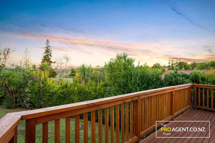 1 Titchener Street New Lynn_12