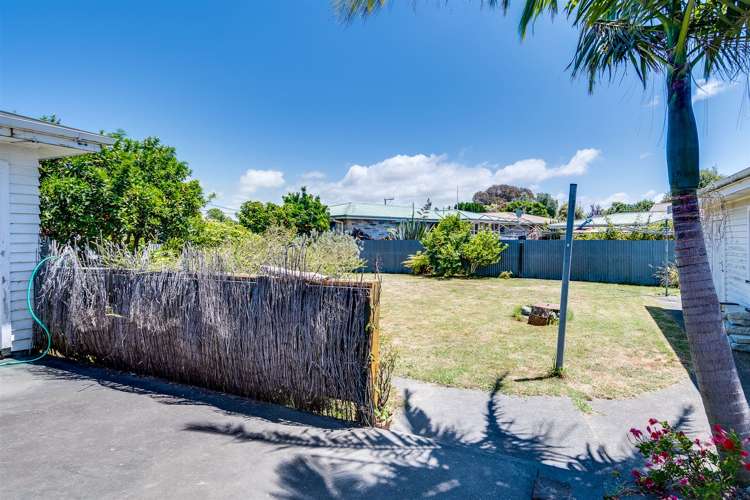 66 Masefield Avenue Maraenui_11