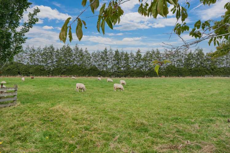 232 Crow Road Thomsons Crossing_26