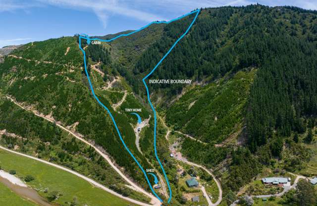 Whopping Big Waikakaho Wonderland