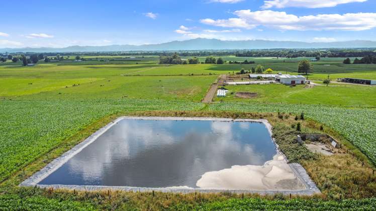 325 Taukoro Road Morrinsville_7