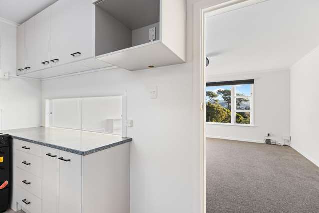 8 Totara Road Miramar_4