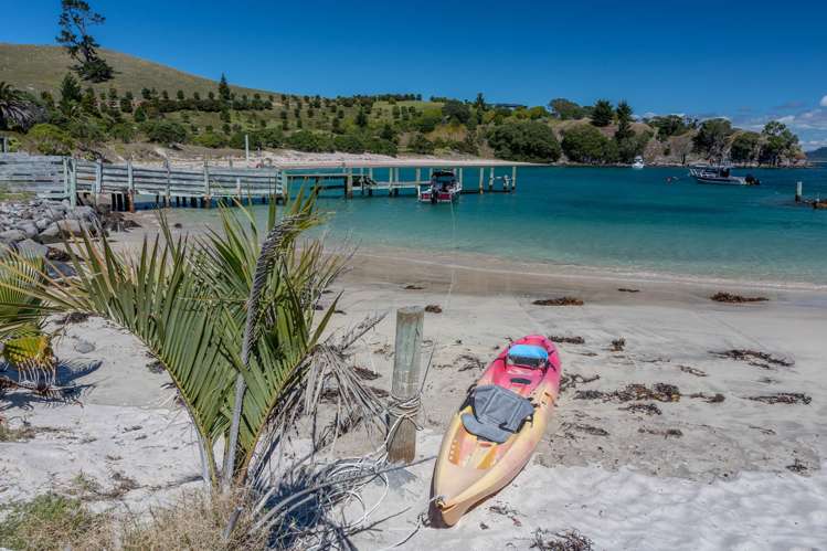 190 Pacific Ocean, Slipper Island (Whakahua) Thames_6