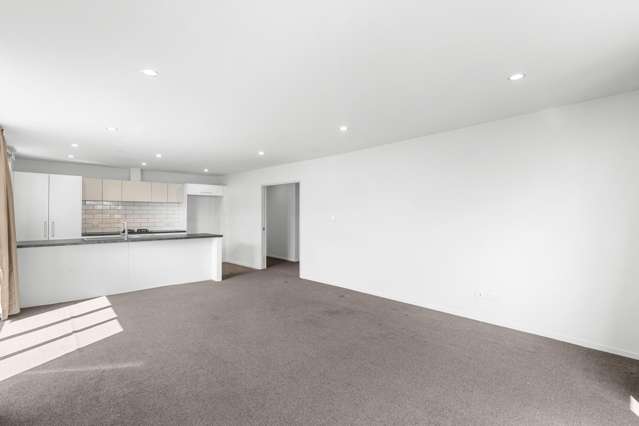 46A Surrey Street Linwood_4