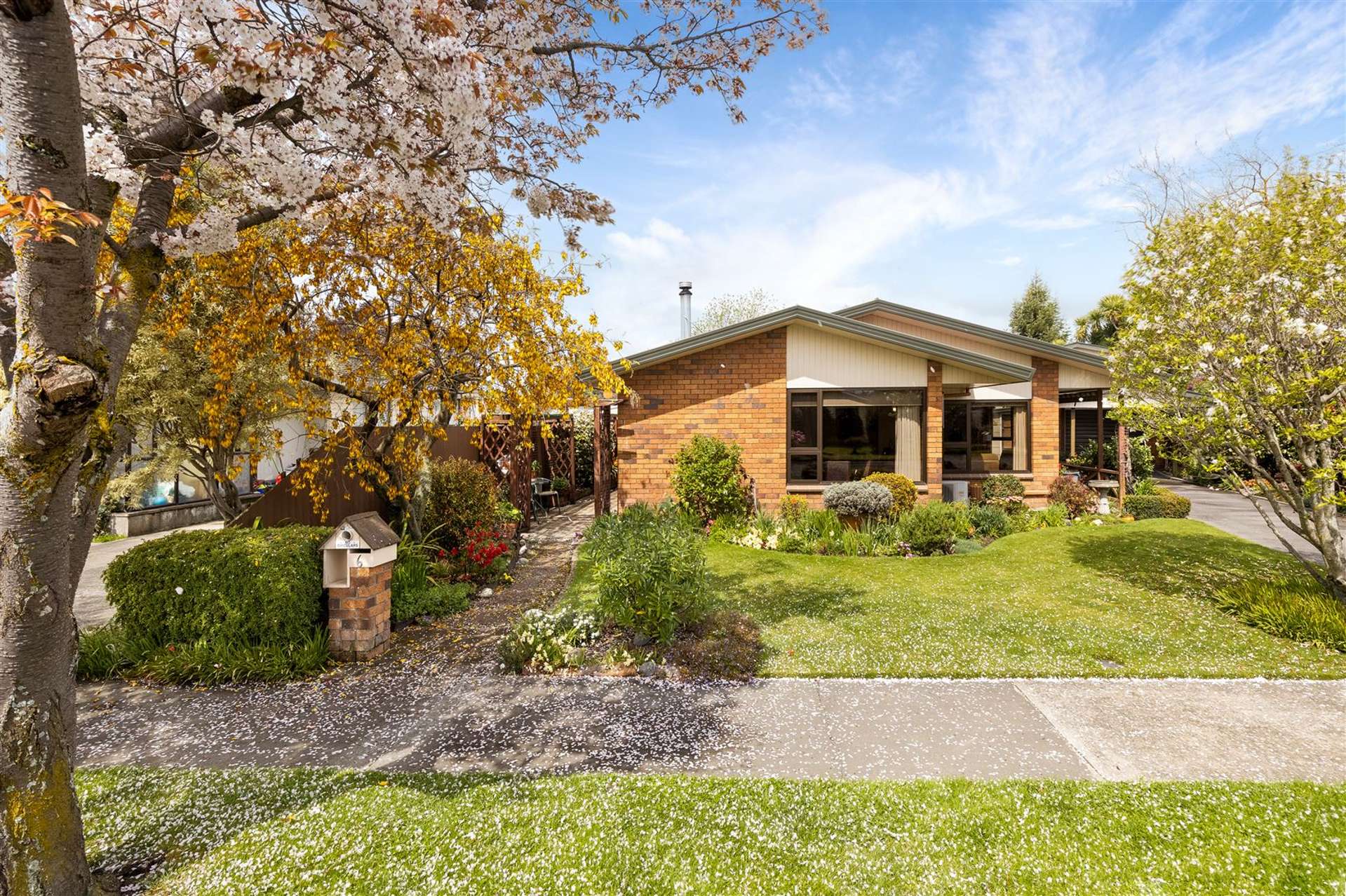 6 Owen Place Springlands_0