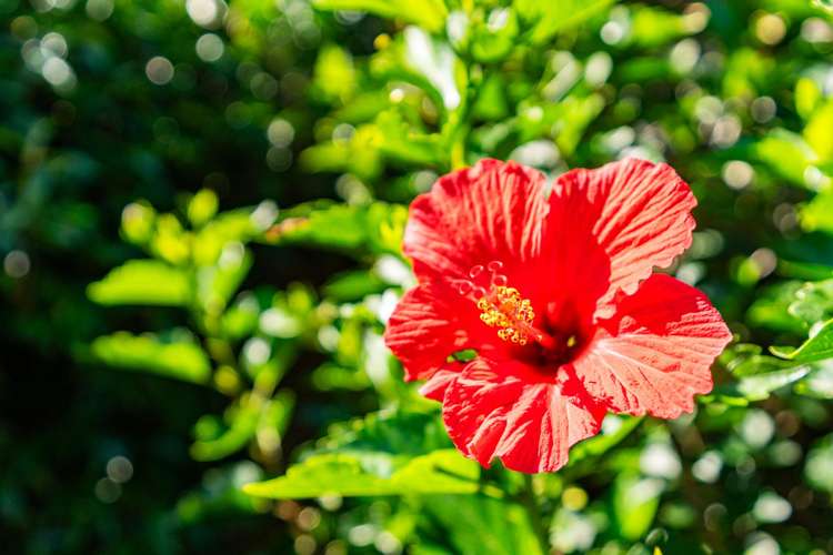 8 Grove Road Mangawhai Heads_31