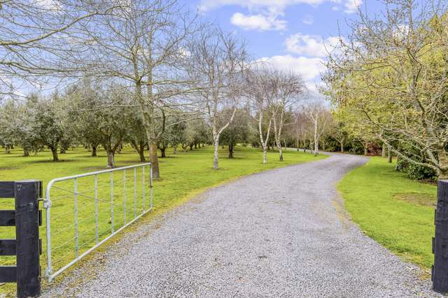 134 Te Waka Road Te Horo_1