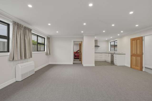 142B Melbourne Street South Dunedin_3