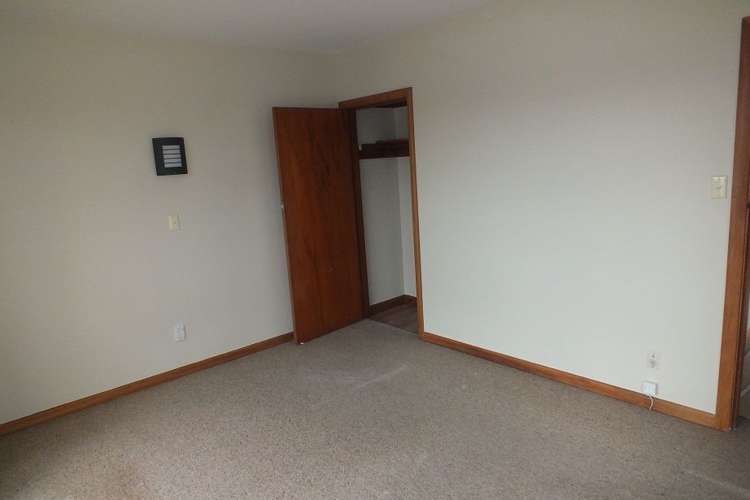 43 English Street Sockburn_13