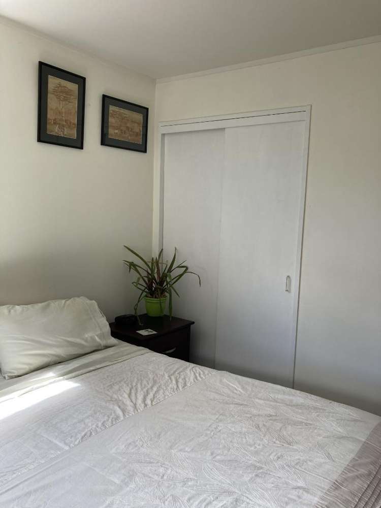 5 Punga Place Whitianga_13