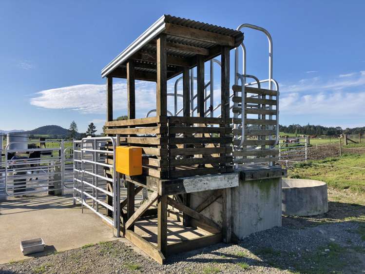 326 Abel Tasman Drive Kahurangi National Park_15