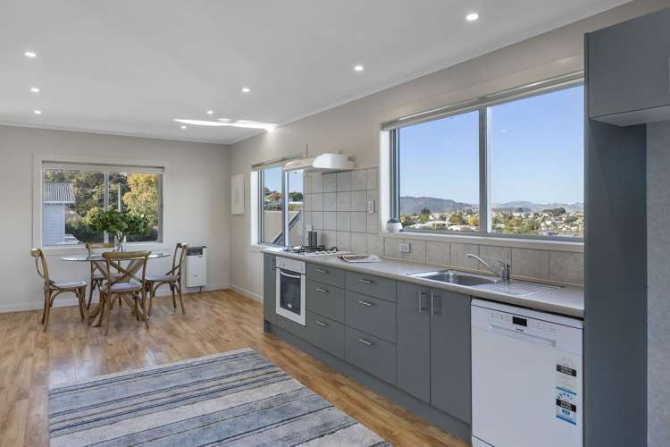 23A Hood Street Wakari_8