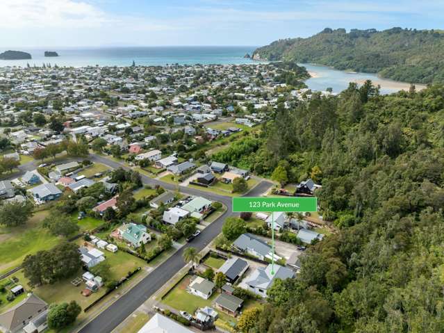 123 Park Avenue Whangamata_2