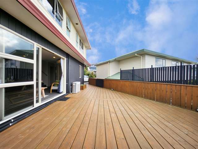 24b Bathgate Street Johnsonville_1