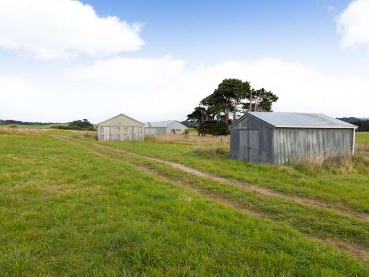 116 Karahaki Road Waverley_7