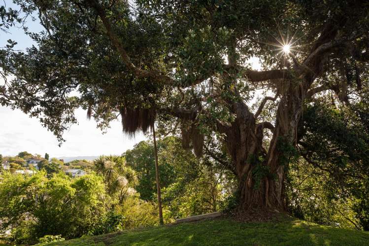 20 Moana Drive Tanners Point_27