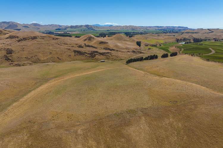 167 Marama Road Seddon_4