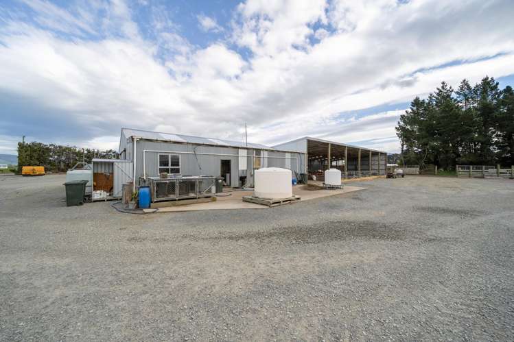 648 Ellis Road Te Anau Surrounds_23