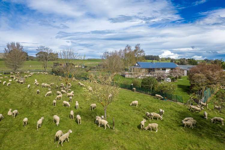 425 Te Kura Road Otane_40