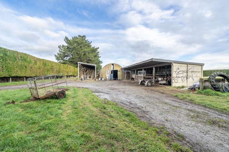 492 Lorne Dacre Road Roslyn Bush_17