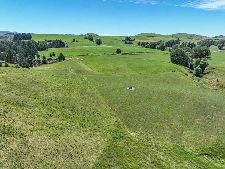 108 Sandy Creek Road Tutira_21