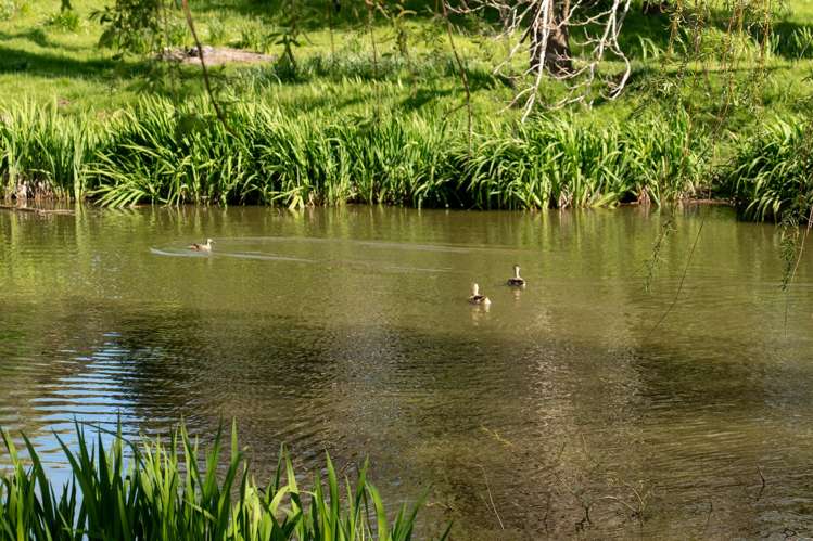 90 Te Kopi Road Masterton_32