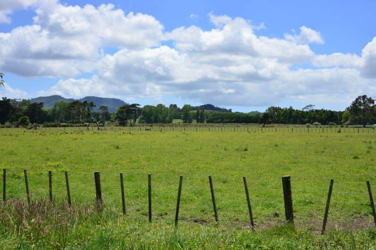 464 Woodcocks Road Warkworth_14