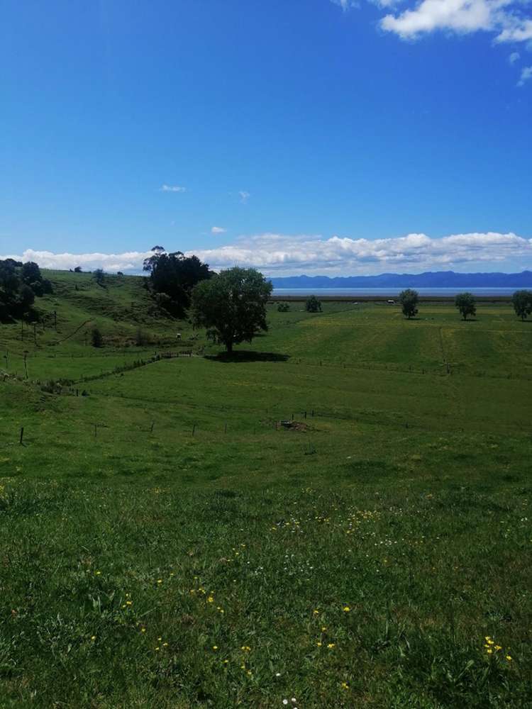 722b Back Miranda Road Miranda Franklin Houses for Sale One Roof