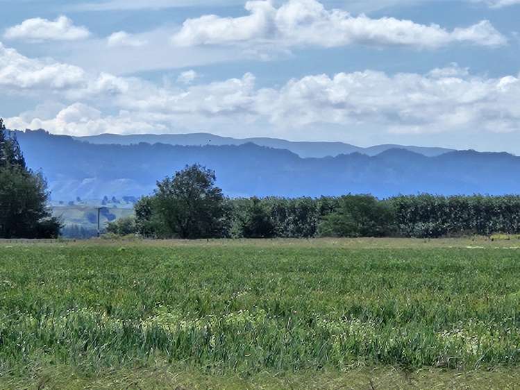 458 Wakarara Road Ongaonga_5