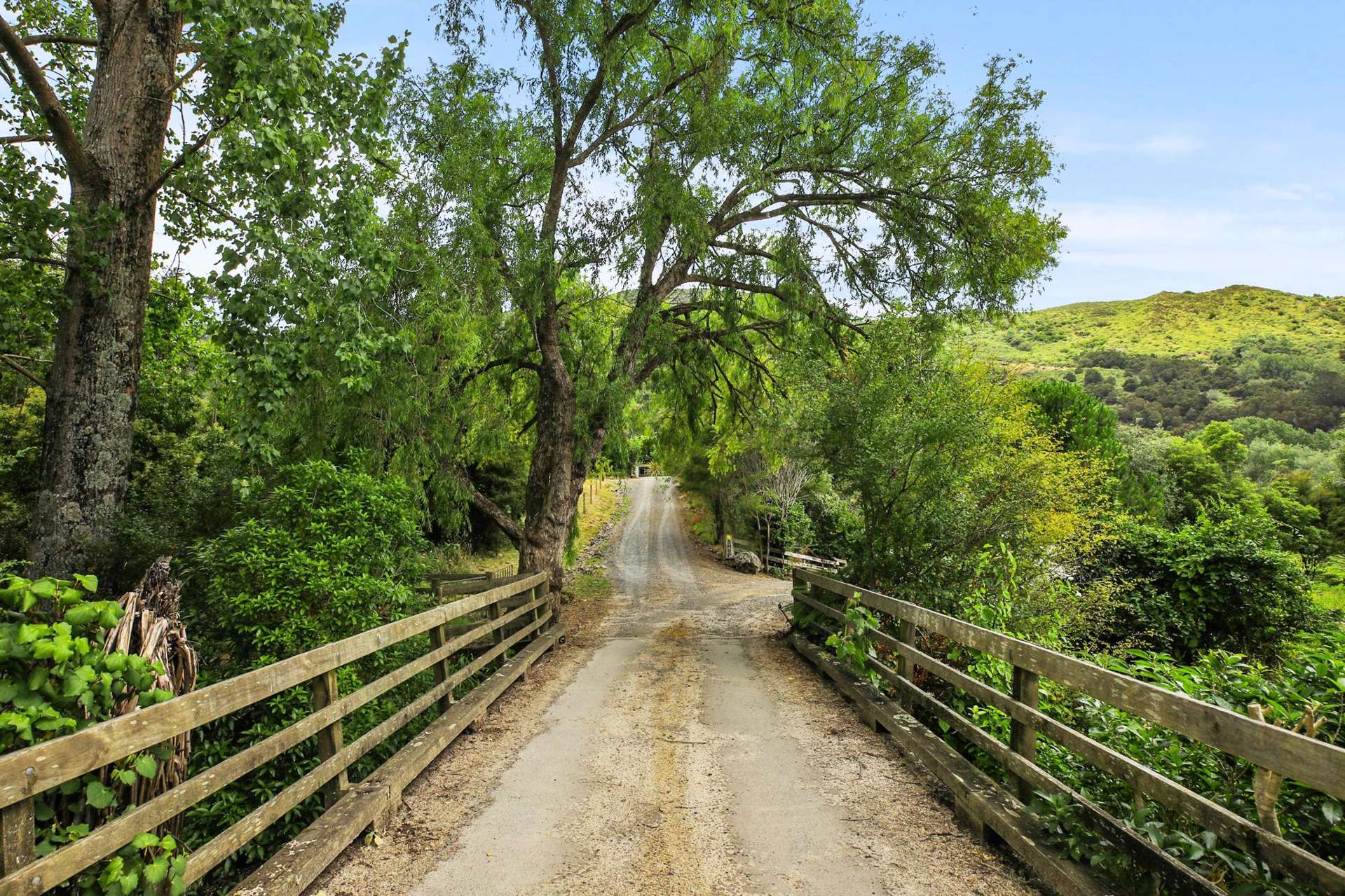 398b Kauaeranga Valley Road Thames_0