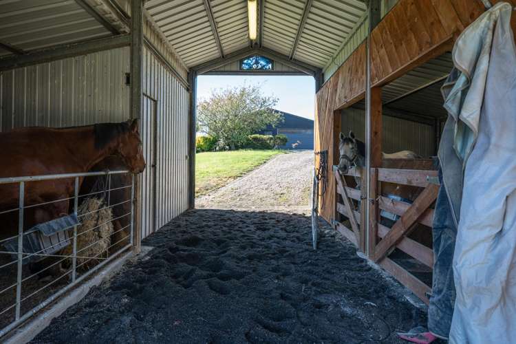 199 Mangaroa Valley Road Mangaroa_23