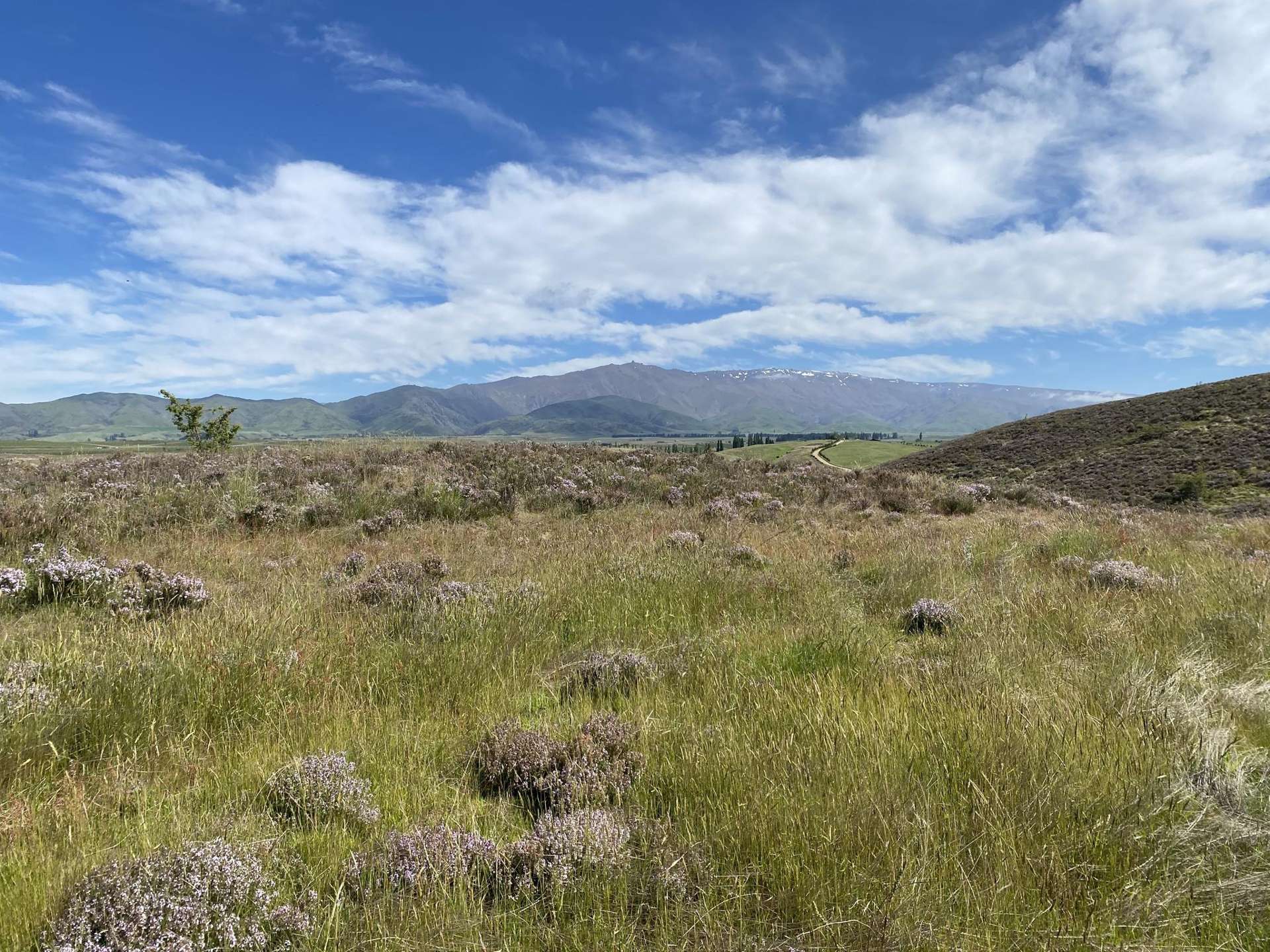 Lot Lot 3, Sim Lane Alexandra_0